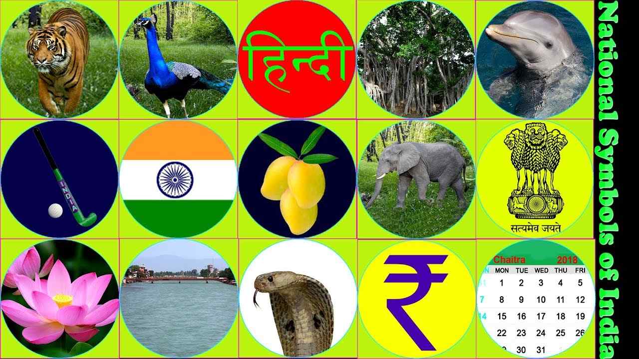 national symbols of india