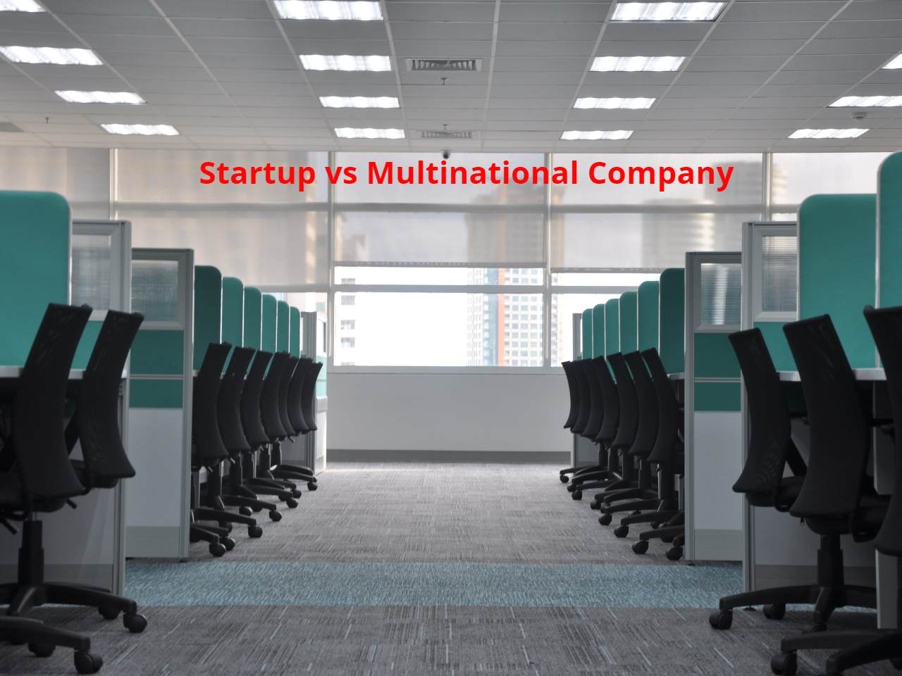Startup vs Multinational Company